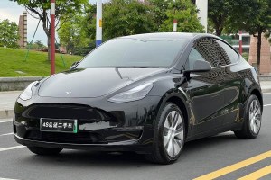 Model Y 特斯拉 改款 長續(xù)航全輪驅(qū)動(dòng)版