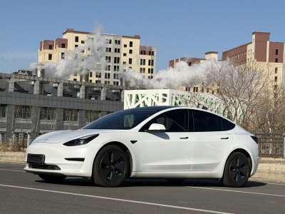 2022年4月 特斯拉 Model 3 標(biāo)準(zhǔn)續(xù)航后驅(qū)升級版圖片