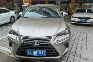 NX 雷克薩斯  300h 全驅 F SPORT 國VI