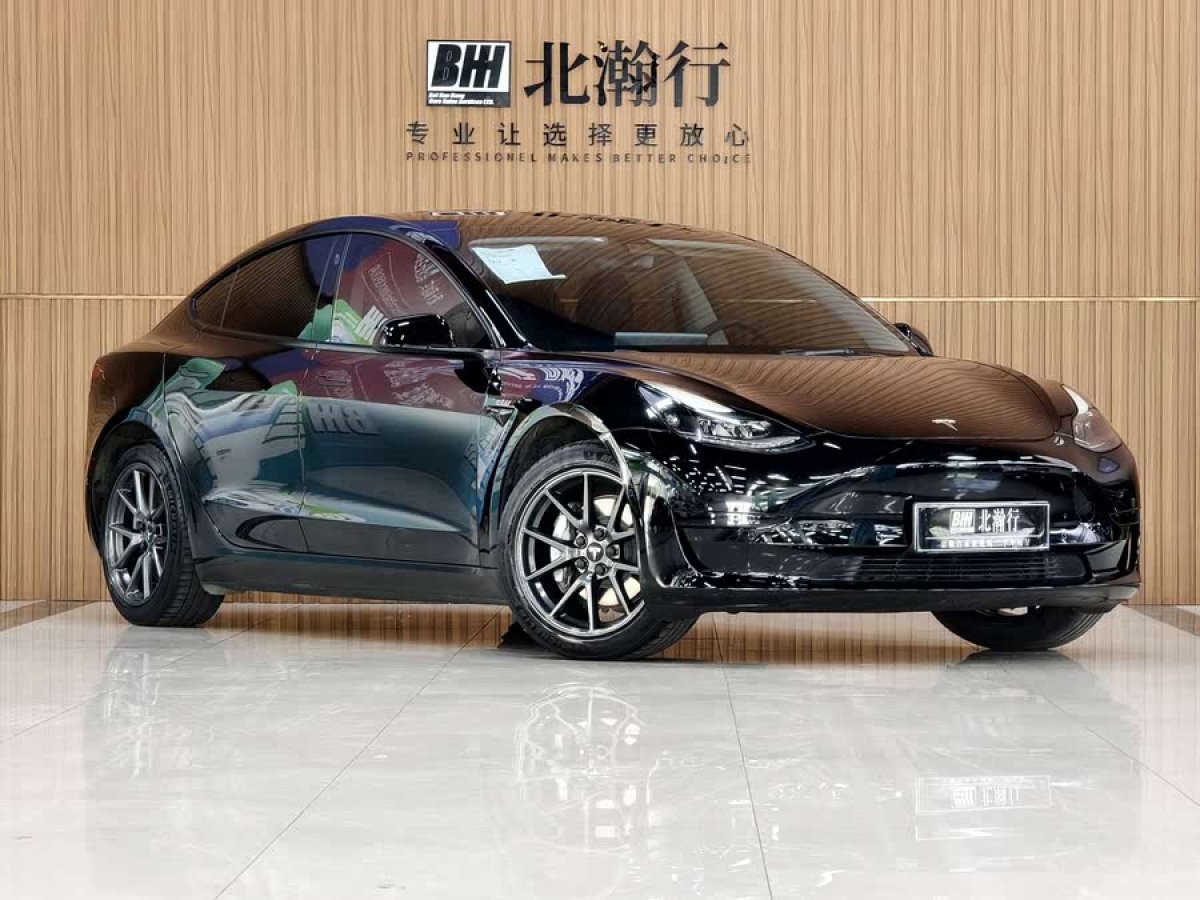 特斯拉 Model 3  2021款 標(biāo)準(zhǔn)續(xù)航后驅(qū)升級(jí)版 3D6圖片