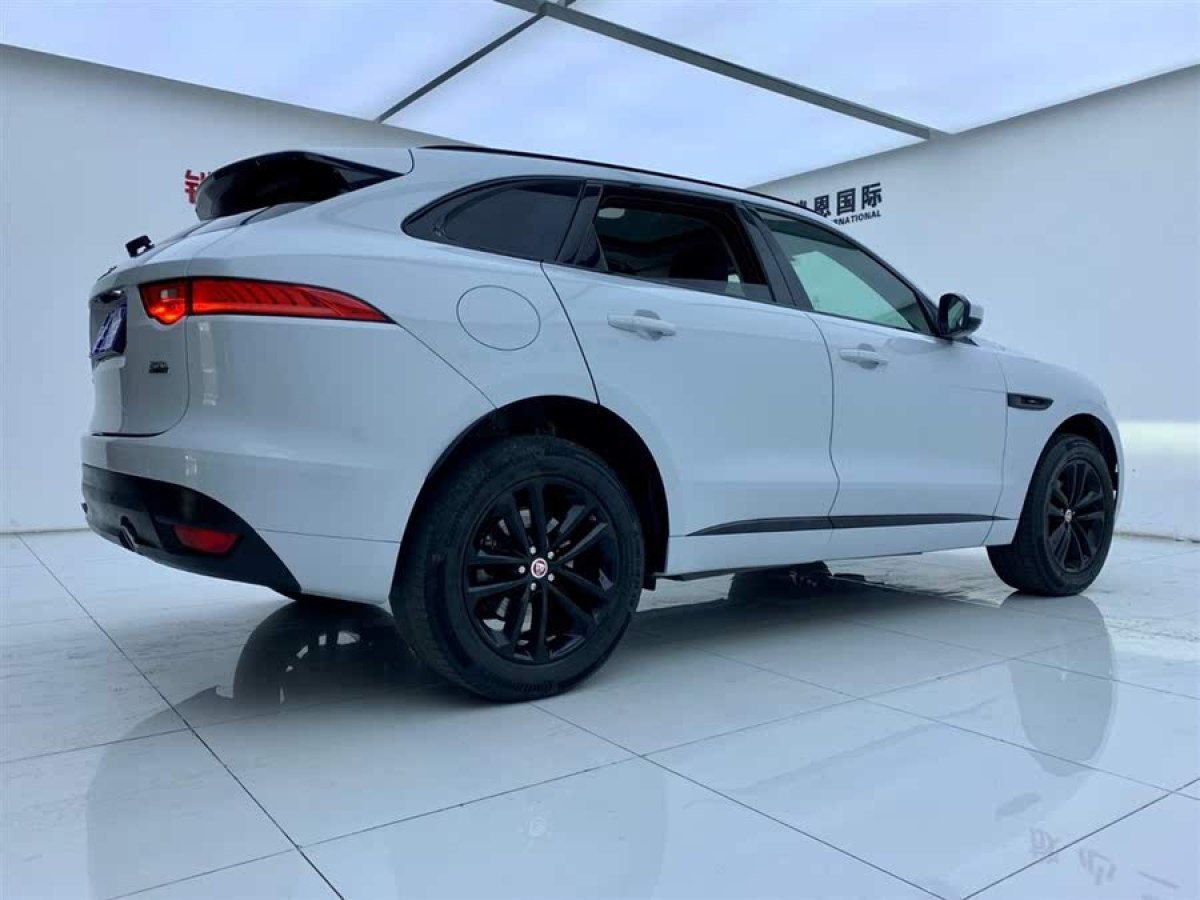 捷豹 F-PACE  2020款 2.0T 賽旗版圖片