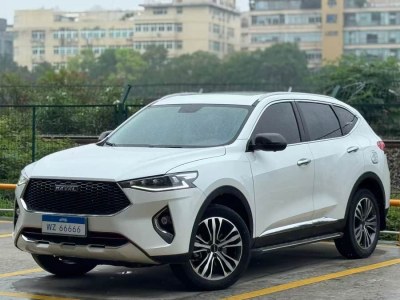 2020年10月 哈弗 F7 2.0T 兩驅(qū)i動(dòng)圖片