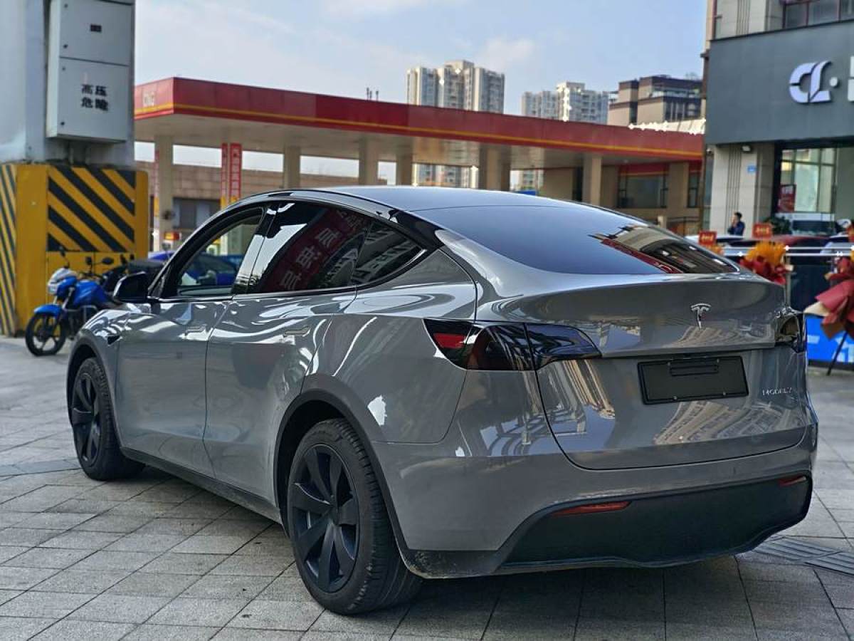 特斯拉 Model Y  2020款 改款 長(zhǎng)續(xù)航后輪驅(qū)動(dòng)版圖片