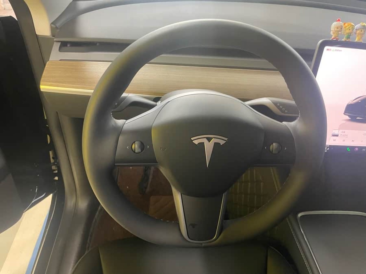 特斯拉 Model Y  2022款 改款 后輪驅(qū)動(dòng)版圖片