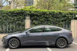 Model 3 特斯拉 長續(xù)航后驅(qū)版