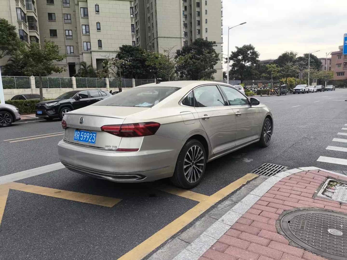 大眾 帕薩特  2019款 380TSI 尊貴版圖片