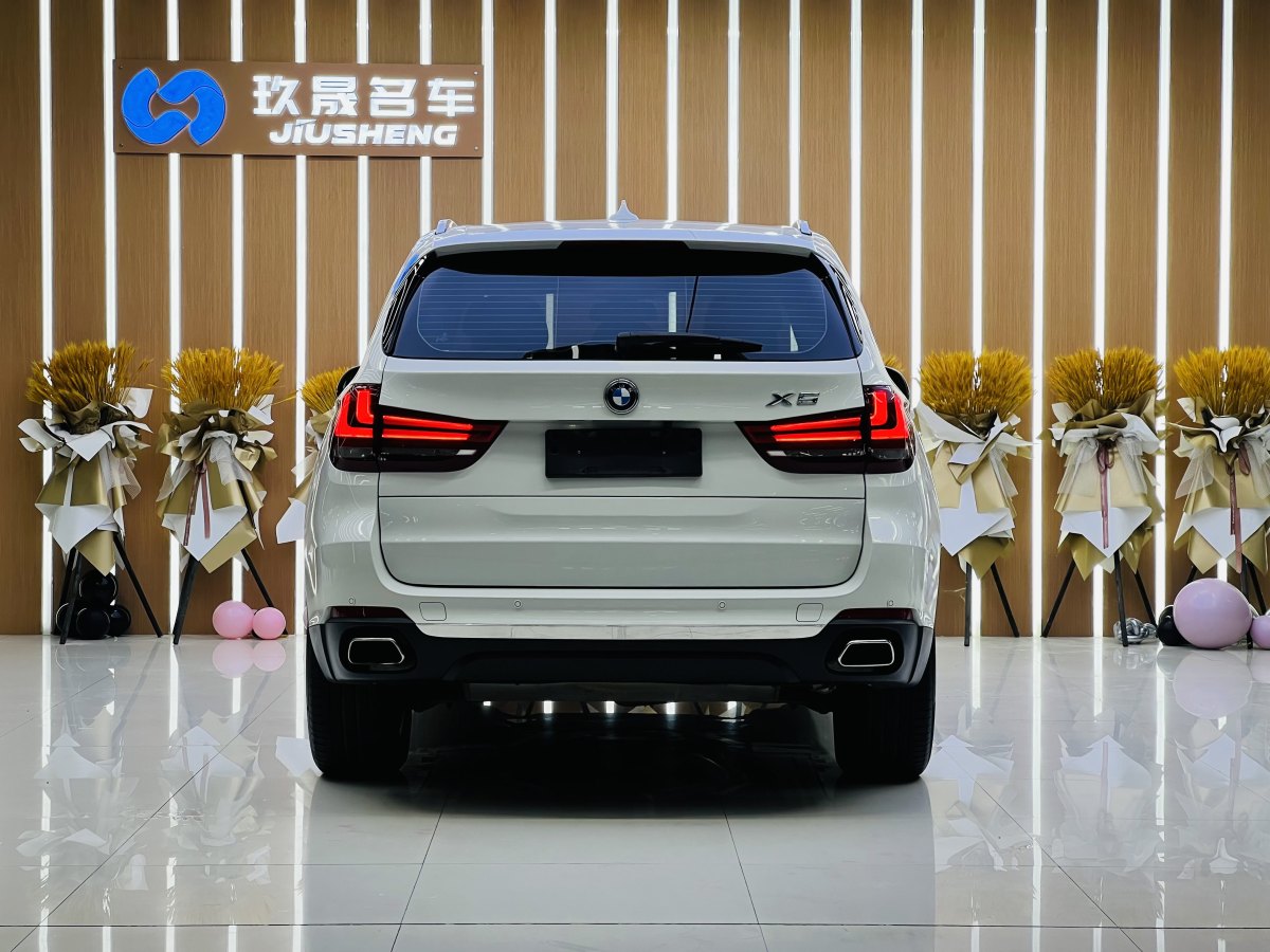 寶馬 寶馬X5  2018款 xDrive35i 典雅型圖片