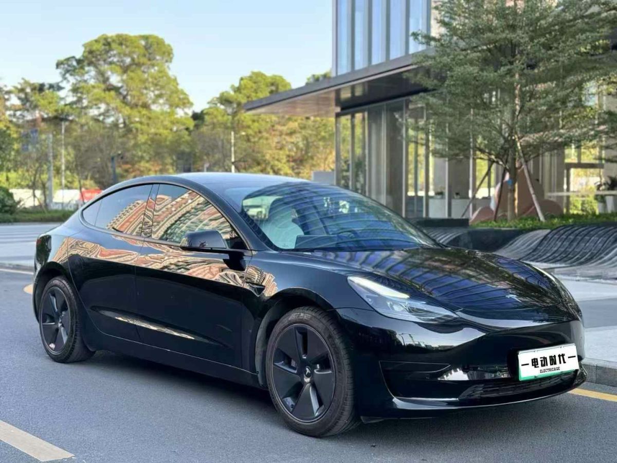 特斯拉 Model 3  2022款 Performance高性能全輪驅(qū)動(dòng)版圖片