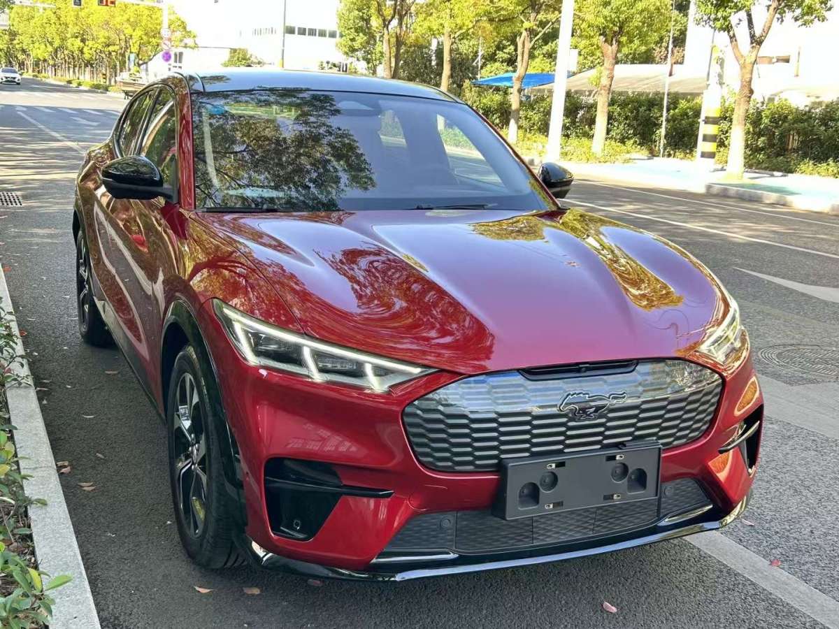 福特 Mustang Mach-E  2021款 長續(xù)航后驅(qū)版圖片