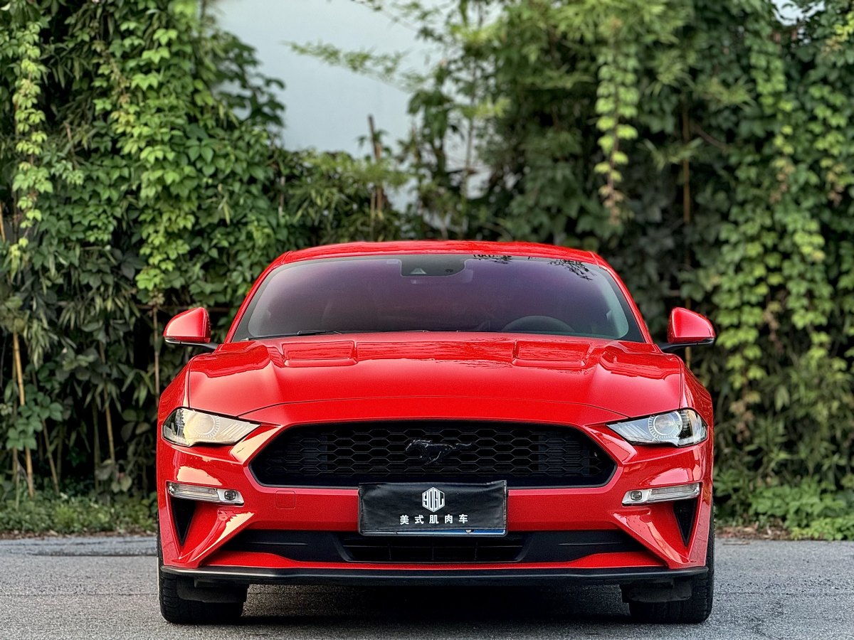 2019年9月福特 Mustang  2019款 2.3L EcoBoost