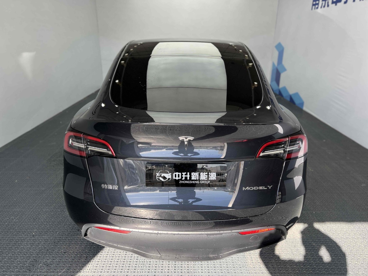 特斯拉 Model 3  2020款 改款 長(zhǎng)續(xù)航后輪驅(qū)動(dòng)版圖片