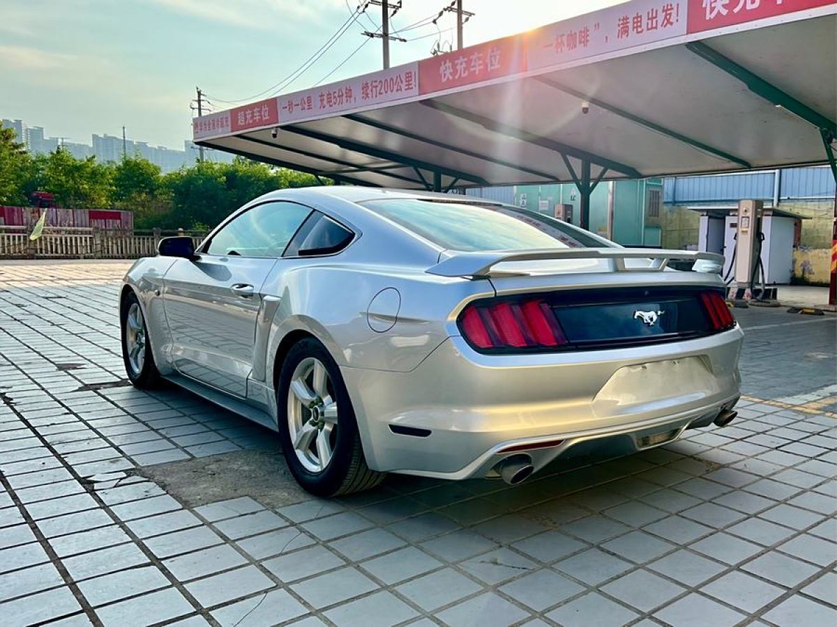 福特 Mustang  2015款 2.3T 50周年紀念版圖片