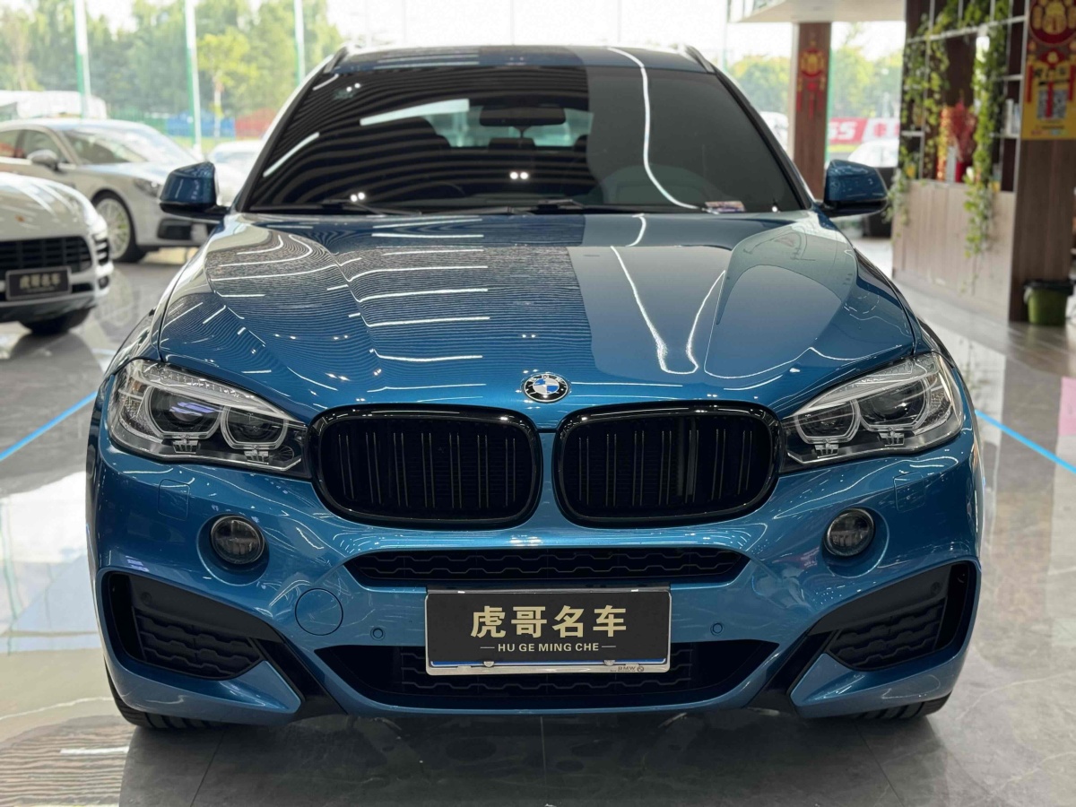 宝马 宝马X6  2018款 xDrive35i 领先型图片