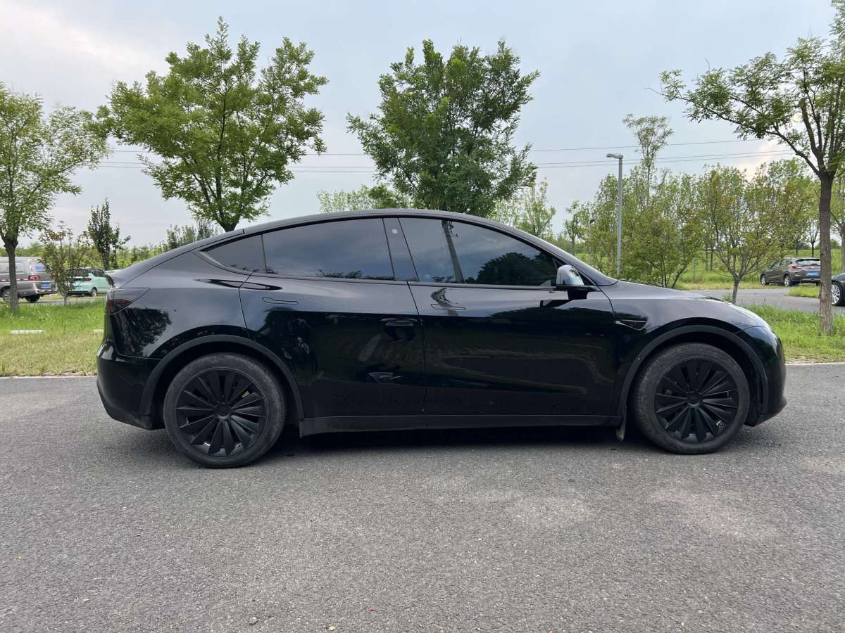 特斯拉 Model Y  2021款 改款 標(biāo)準(zhǔn)續(xù)航后驅(qū)升級版圖片