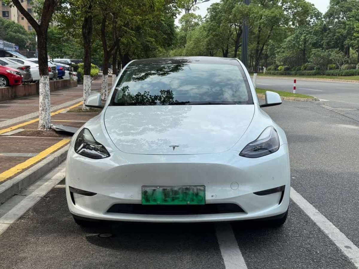 特斯拉 Model Y  2021款 標(biāo)準(zhǔn)續(xù)航后驅(qū)版圖片