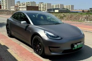 Model X 特斯拉 Performance 高性能版