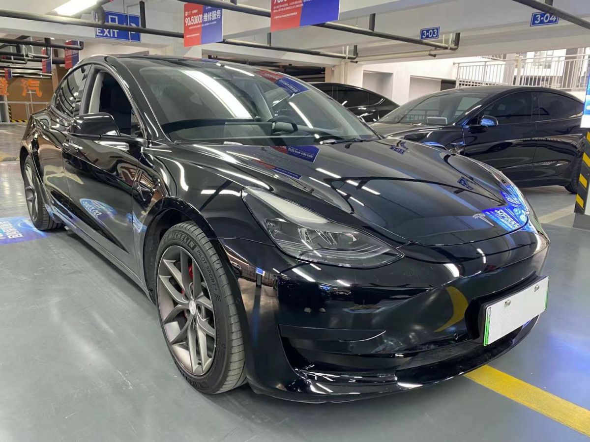 特斯拉 Model 3  2022款 Performance高性能全輪驅(qū)動(dòng)版圖片