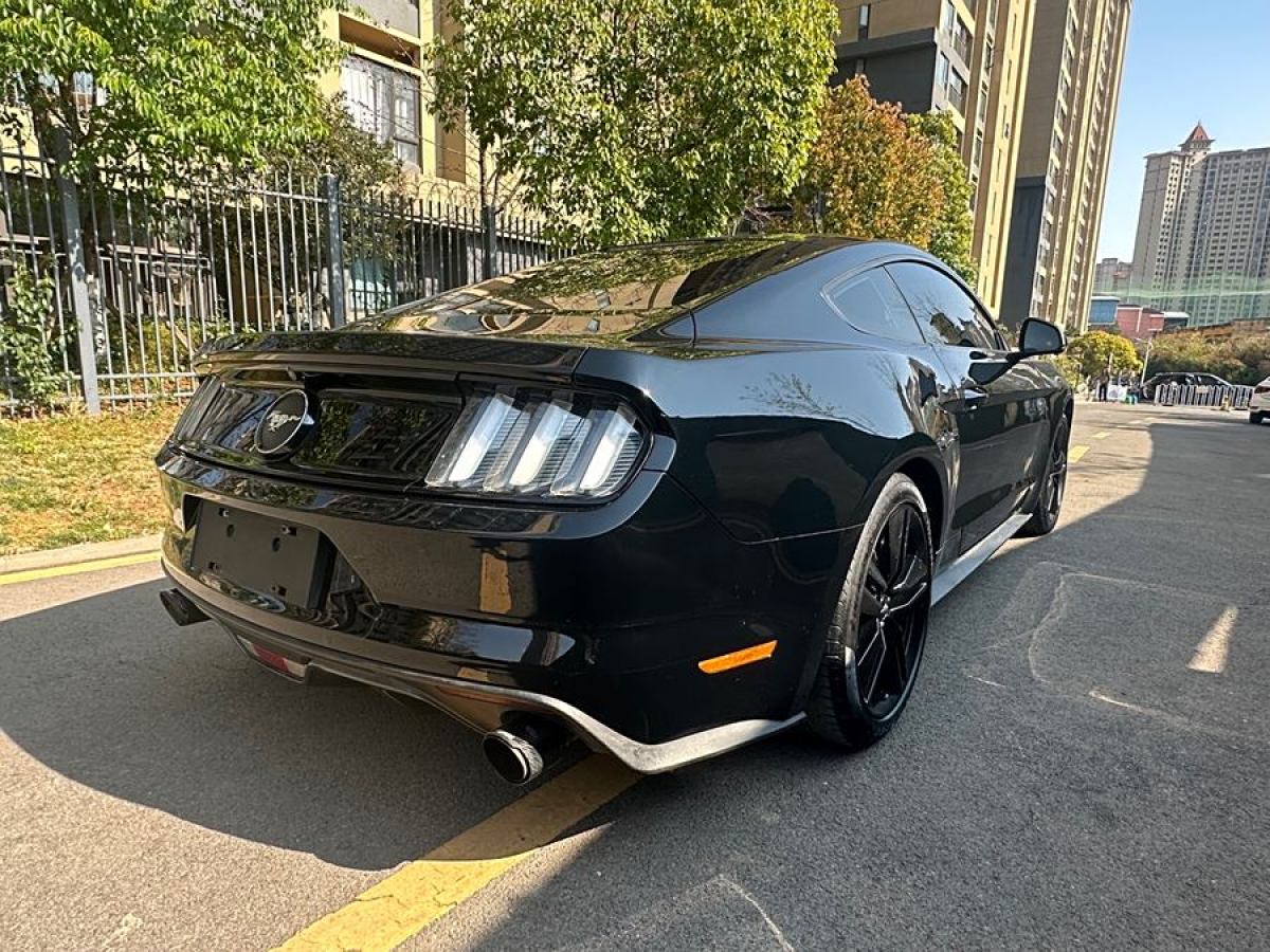 福特 Mustang  2015款 2.3T 性能版圖片