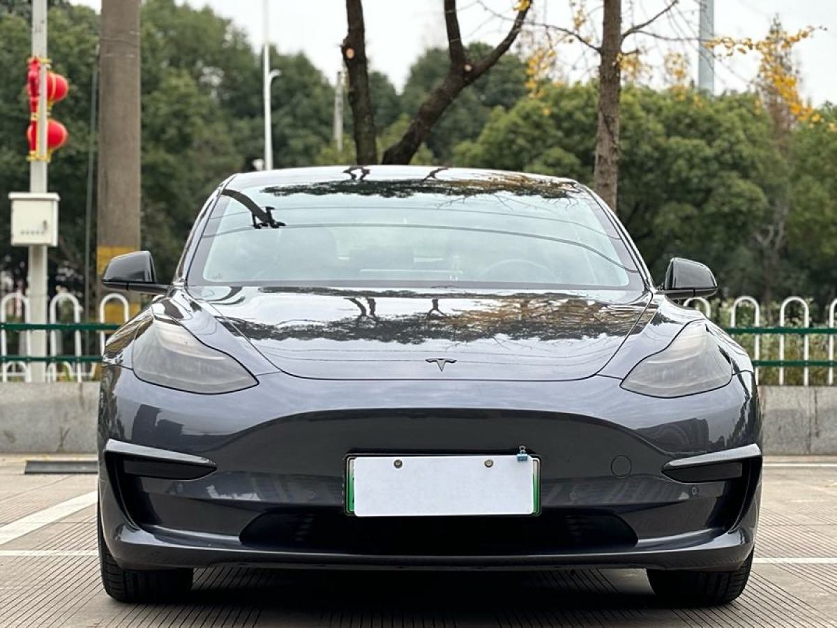 特斯拉 Model 3  2021款 改款 標準續(xù)航后驅(qū)升級版圖片