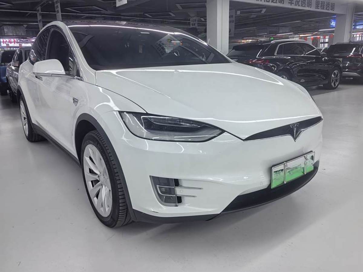 特斯拉 Model X  2019款 長續(xù)航版圖片