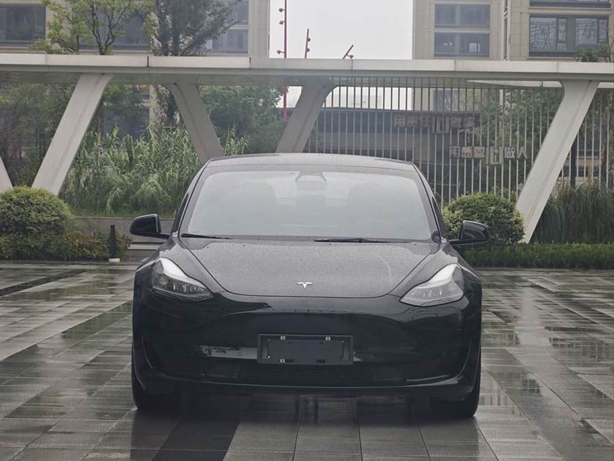 特斯拉 Model 3  2019款 標(biāo)準(zhǔn)續(xù)航后驅(qū)升級(jí)版圖片