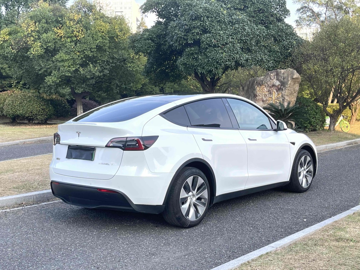 特斯拉 Model Y  2021款 改款 標準續(xù)航后驅升級版圖片