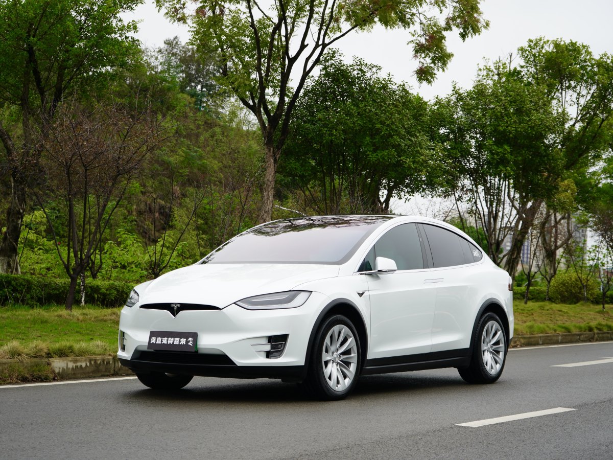 2019年11月特斯拉 Model X  2019款 長續(xù)航版