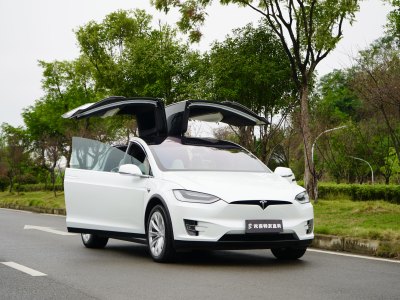 2019年11月 特斯拉 Model X 長續(xù)航版圖片