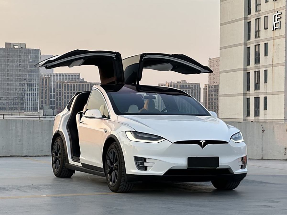 特斯拉 Model X  2019款 Performance 高性能版圖片