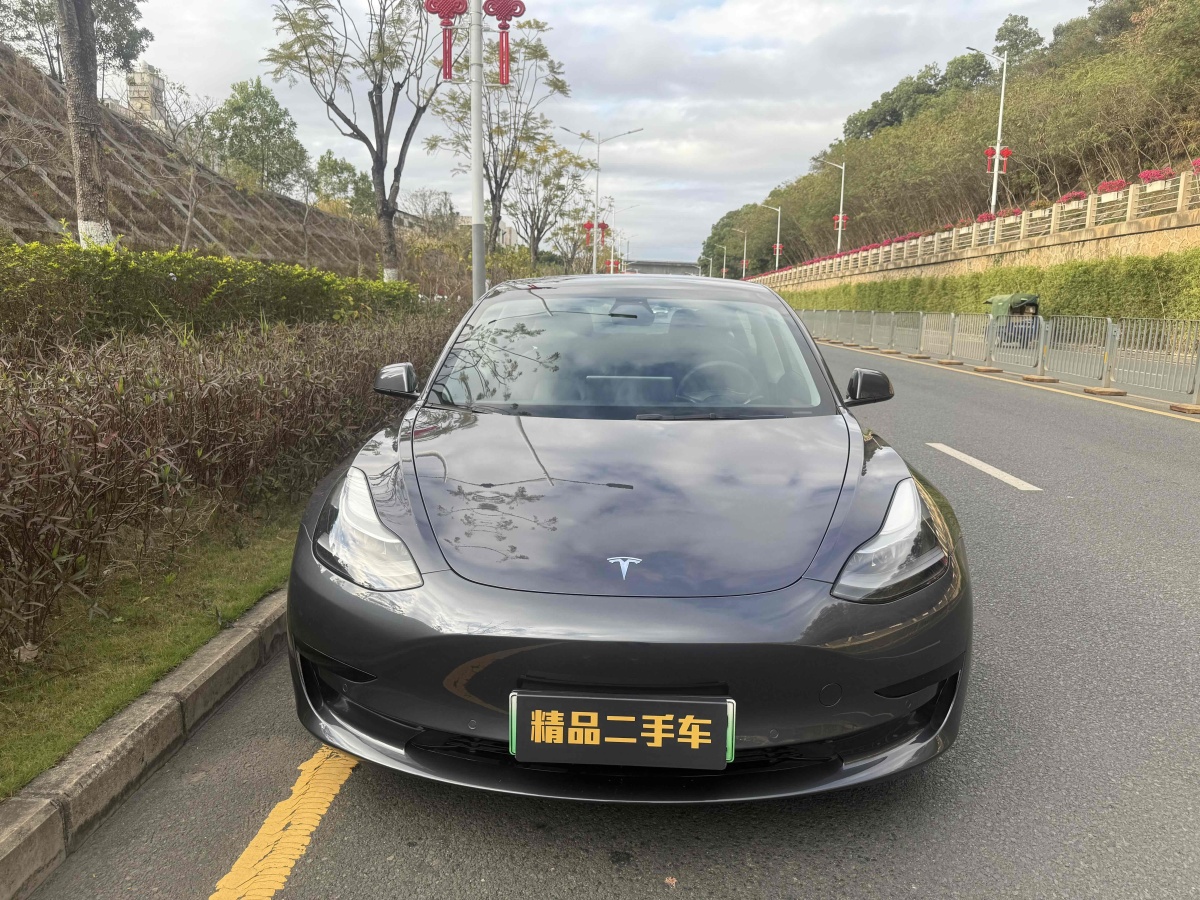 2021年4月特斯拉 Model 3  2021款 標(biāo)準(zhǔn)續(xù)航后驅(qū)升級(jí)版 3D6