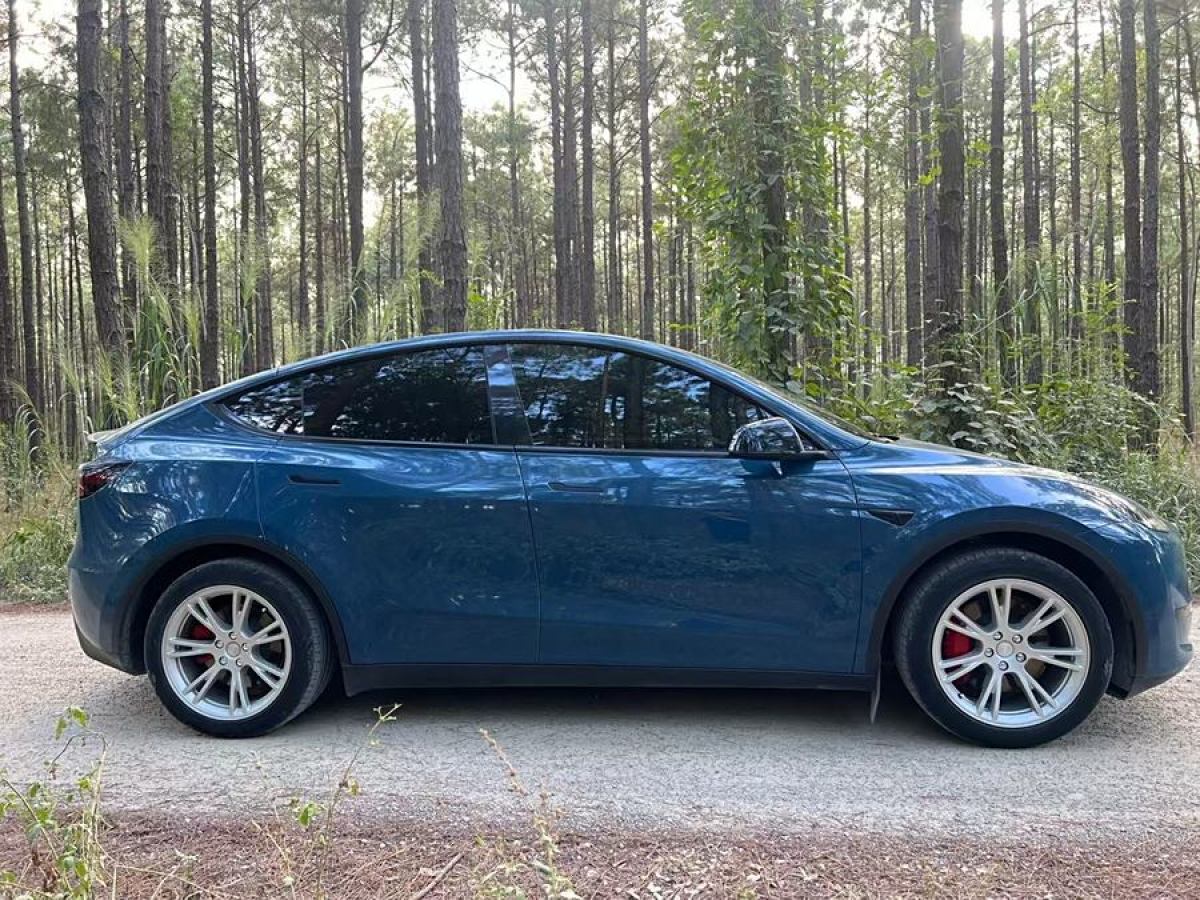 特斯拉 Model Y  2022款 后輪驅(qū)動版圖片