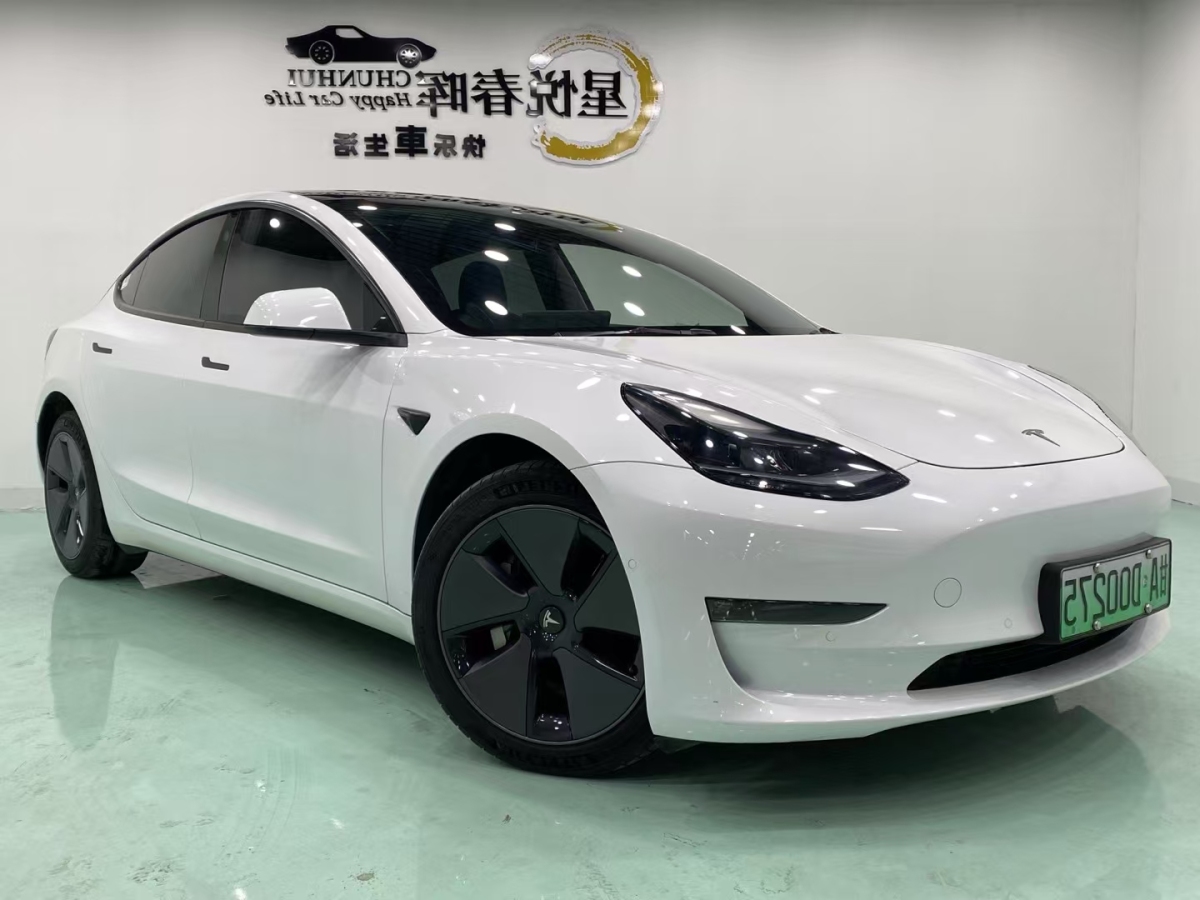 特斯拉 Model 3  2019款 標(biāo)準(zhǔn)續(xù)航后驅(qū)升級(jí)版圖片