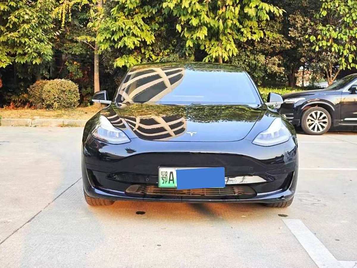 特斯拉 Model 3  2019款 標(biāo)準(zhǔn)續(xù)航后驅(qū)升級(jí)版圖片