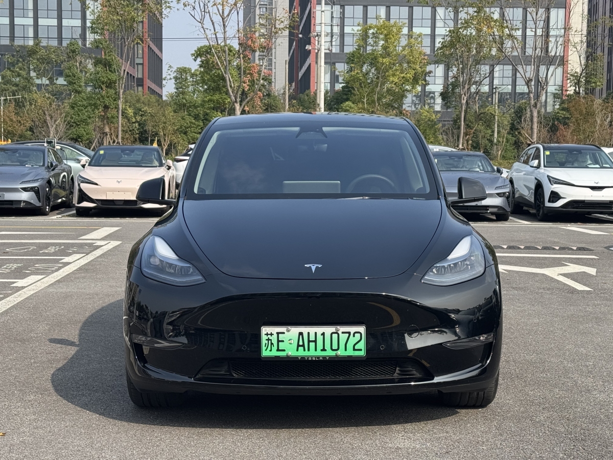 特斯拉 Model Y  2021款 改款 Performance高性能全輪驅(qū)動版圖片