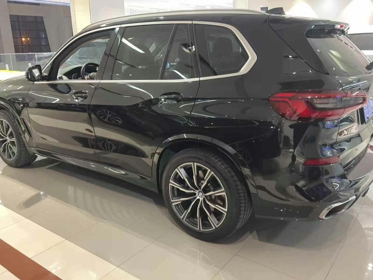 寶馬 寶馬X5  2019款 xDrive30i X設(shè)計(jì)套裝圖片