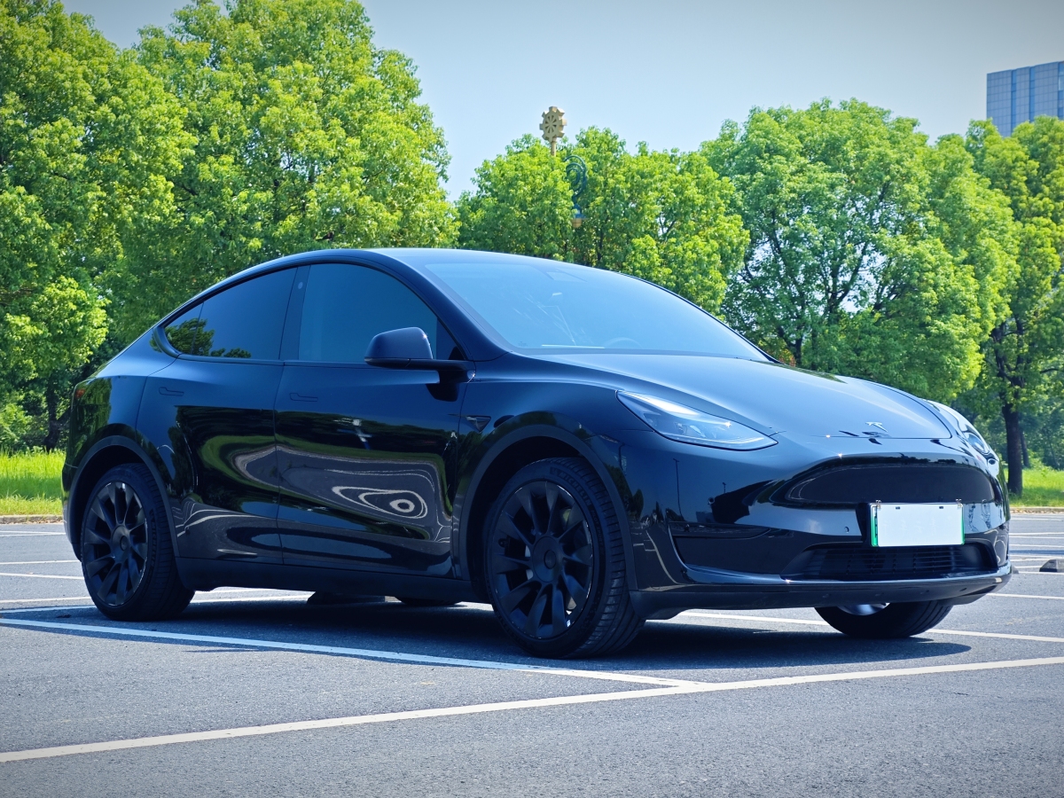 特斯拉 Model Y  2022款 后輪驅動版圖片