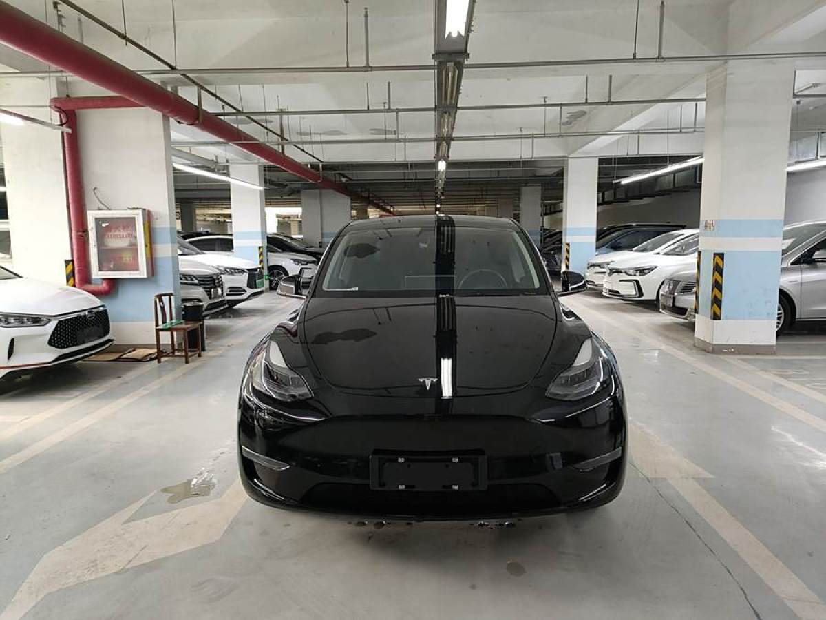 特斯拉 Model Y  2021款 改款 標(biāo)準(zhǔn)續(xù)航后驅(qū)升級(jí)版圖片