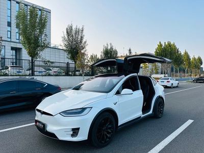 2019年9月 特斯拉 Model X 長(zhǎng)續(xù)航版圖片