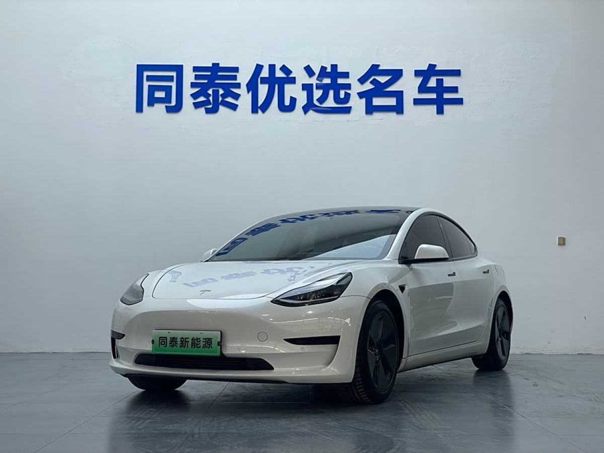 2021年1月特斯拉 Model 3  2021款 改款 標(biāo)準(zhǔn)續(xù)航后驅(qū)升級版