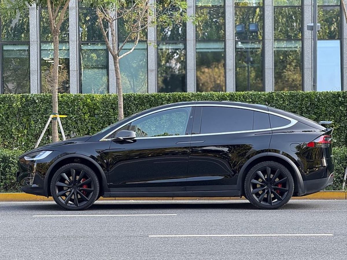 特斯拉 Model X  2019款 Performance 高性能版圖片