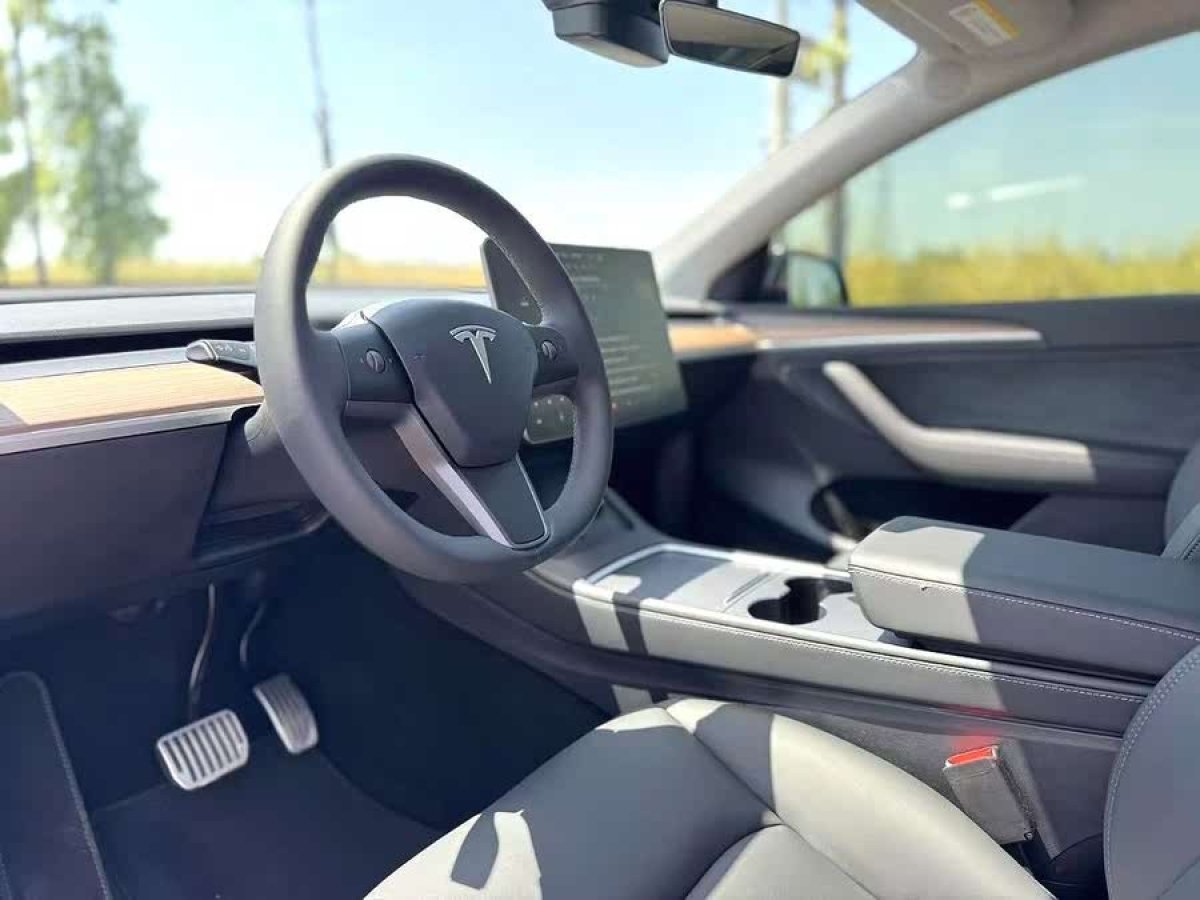 特斯拉 Model Y  2021款 標(biāo)準(zhǔn)續(xù)航后驅(qū)版圖片