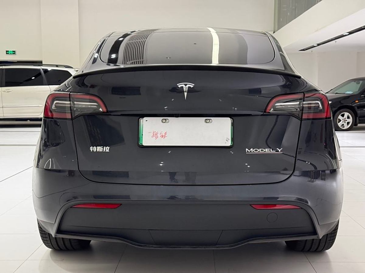 特斯拉 Model 3  2021款 改款 Performance高性能全輪驅(qū)動版圖片