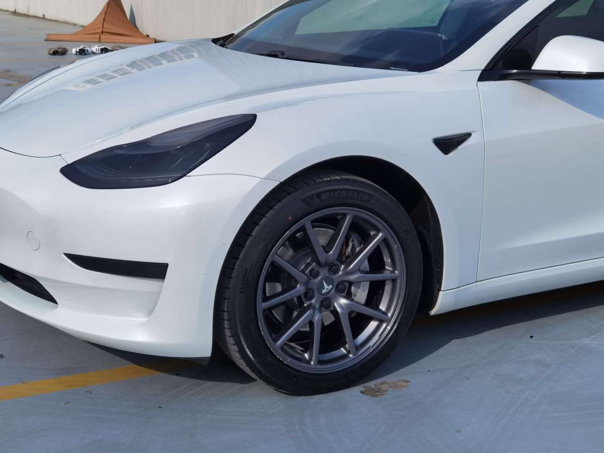 特斯拉 Model 3  2019款 標(biāo)準(zhǔn)續(xù)航后驅(qū)升級(jí)版圖片