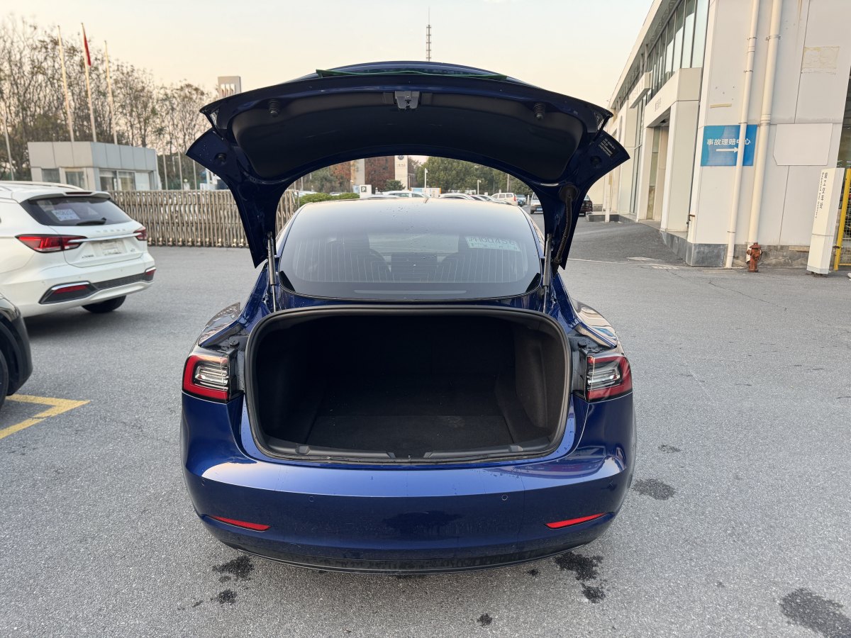 特斯拉 Model 3  2019款 標準續(xù)航后驅(qū)升級版圖片