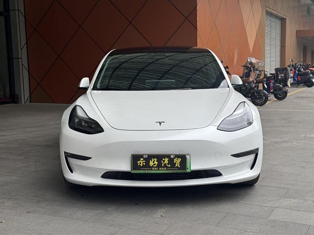 2023年2月特斯拉 Model Y  2022款 Performance高性能全輪驅(qū)動(dòng)版