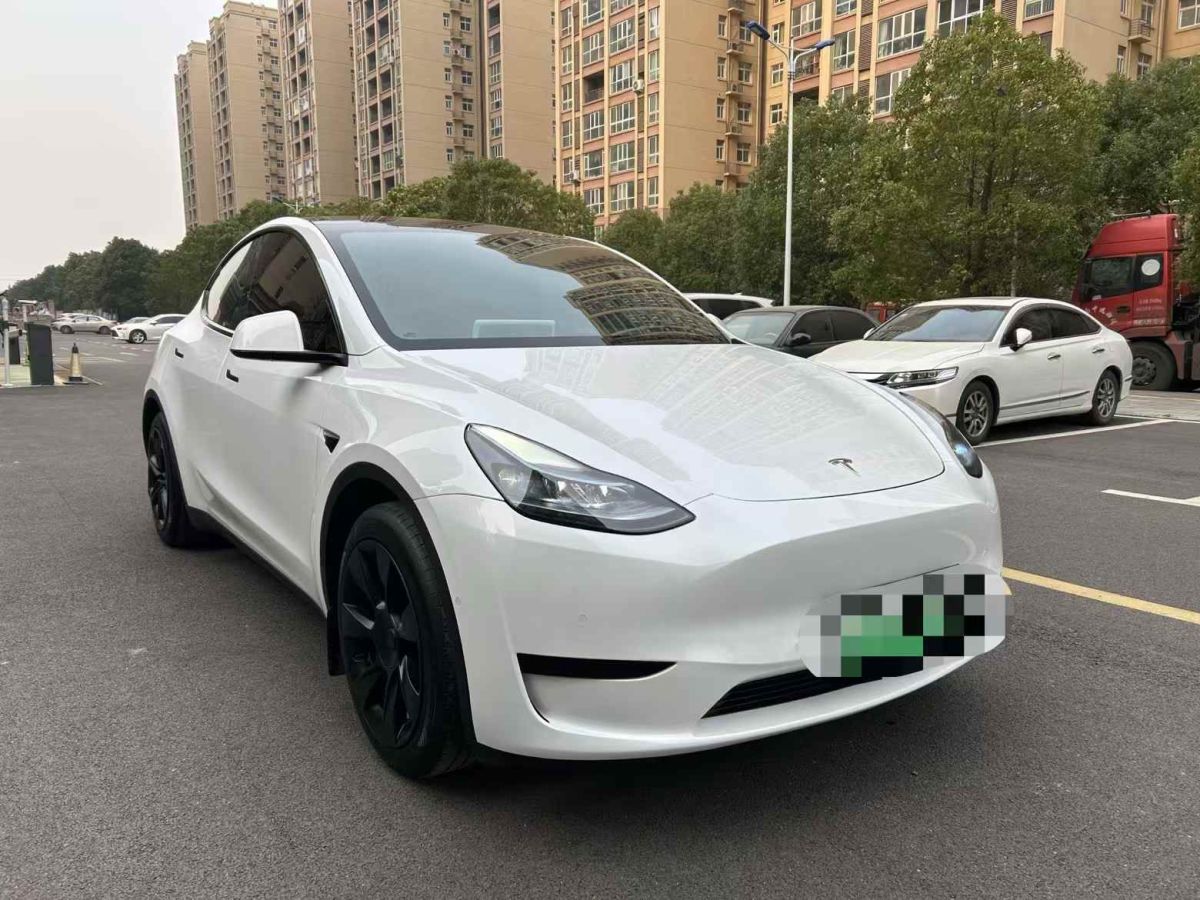 特斯拉 Model Y  2024款 Performance高性能版圖片