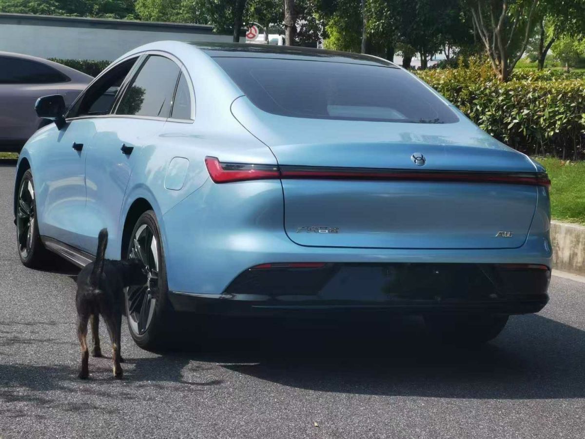 東風風行 風行S50EV  2023款 PRO萬順款圖片
