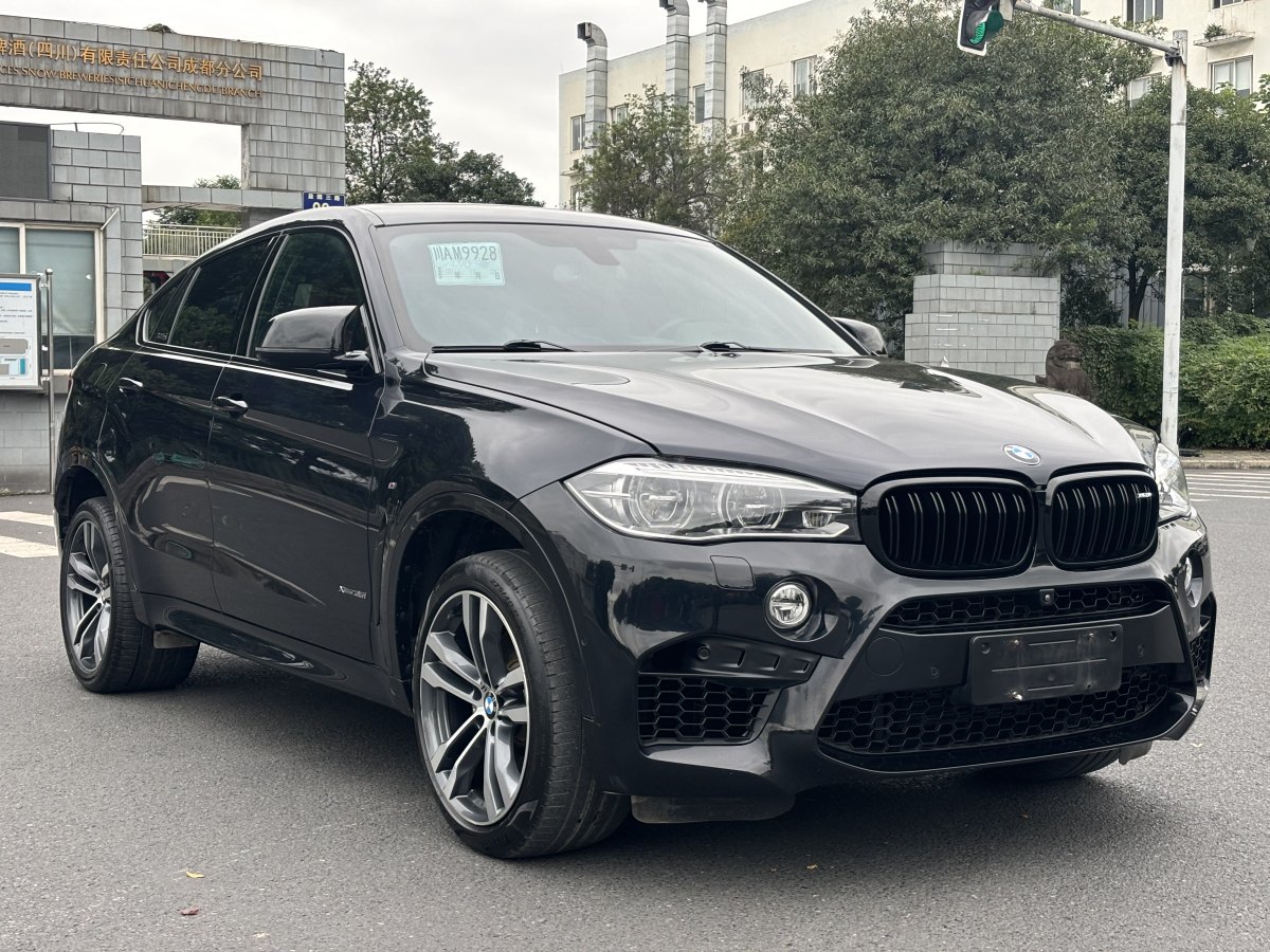 宝马 宝马X6  2019款 xDrive35i尊享型 M运动套装图片