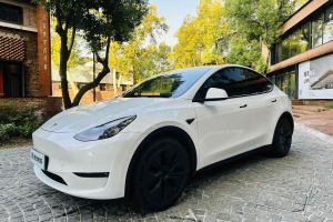 Model Y 特斯拉 长续航焕新版 双电机全轮驱动