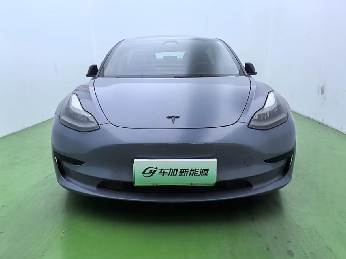 2021年4月特斯拉 Model 3  2021款 改款 標(biāo)準(zhǔn)續(xù)航后驅(qū)升級版